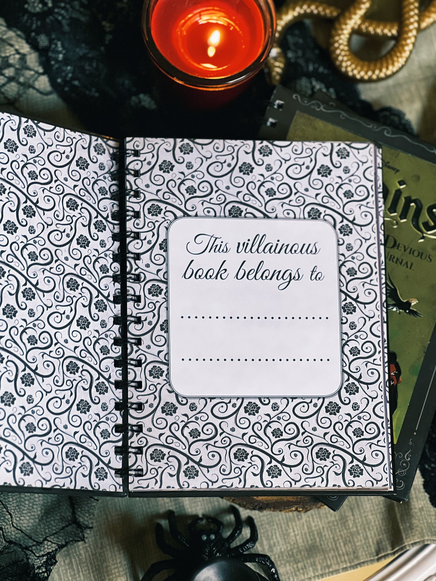 DISNEY VILLAINS ACTIVITY JOURNAL