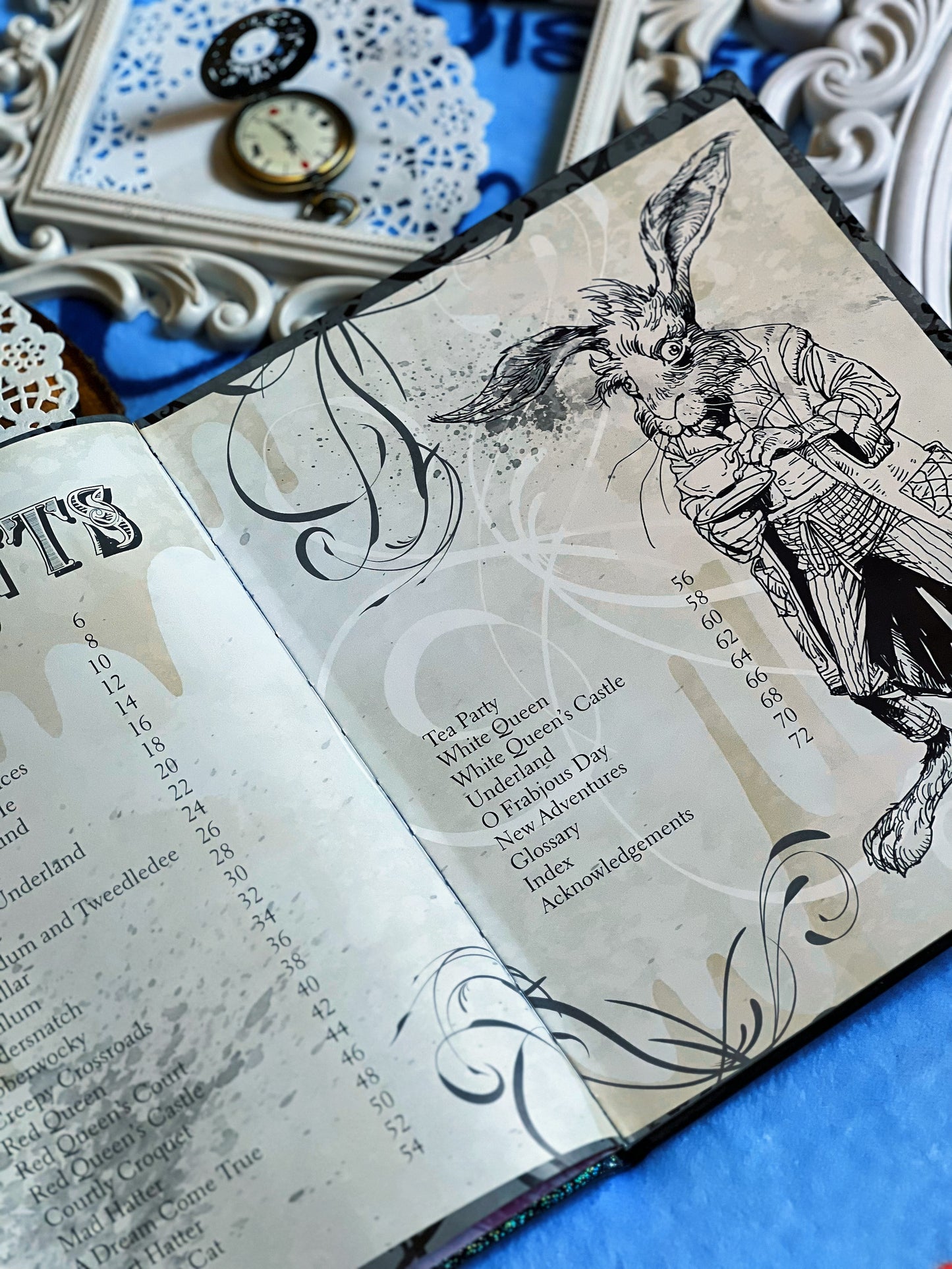 ALICE IN WONDERLAND (the visual guide)(original)