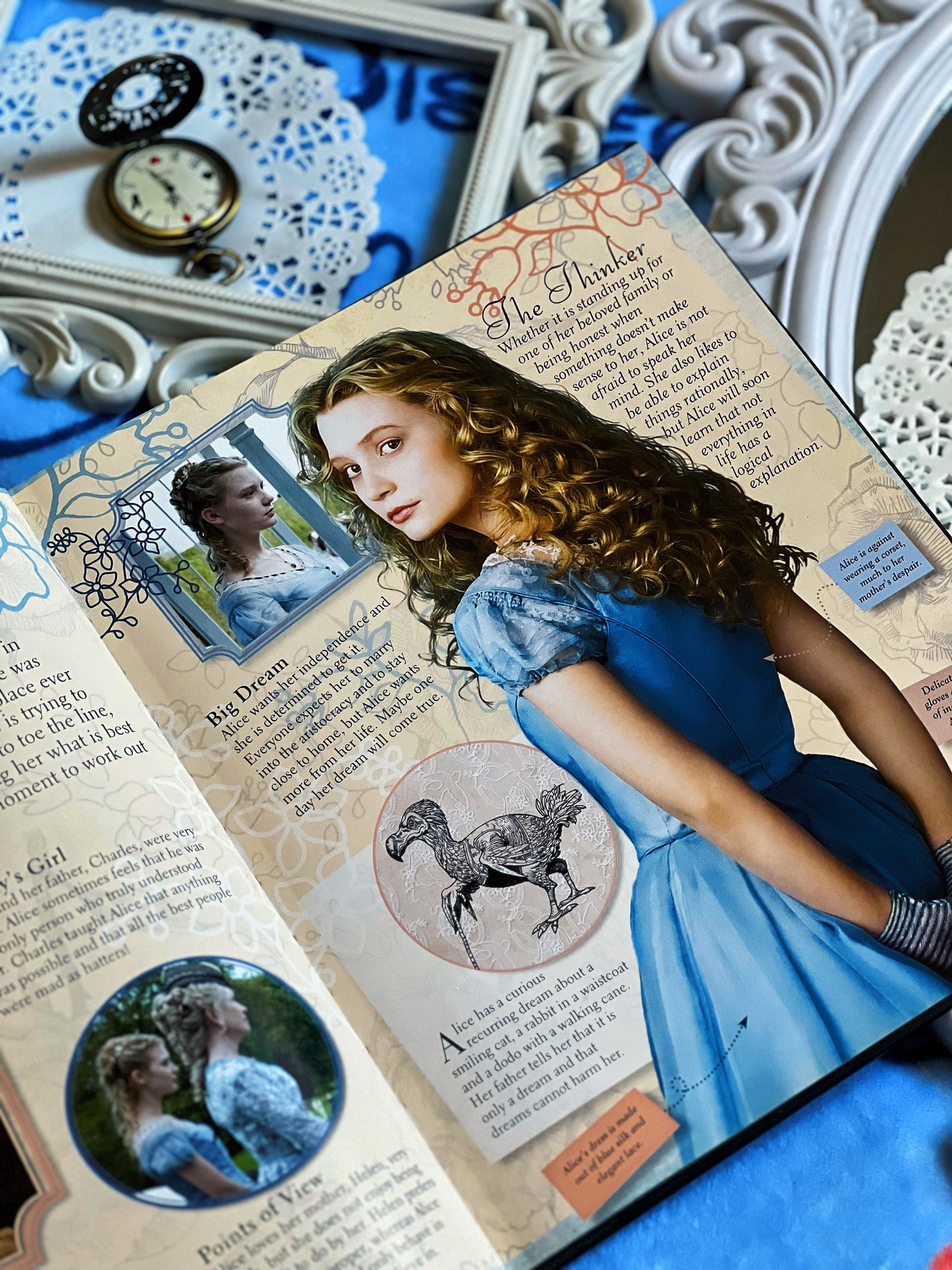 ALICE IN WONDERLAND (the visual guide)(original)