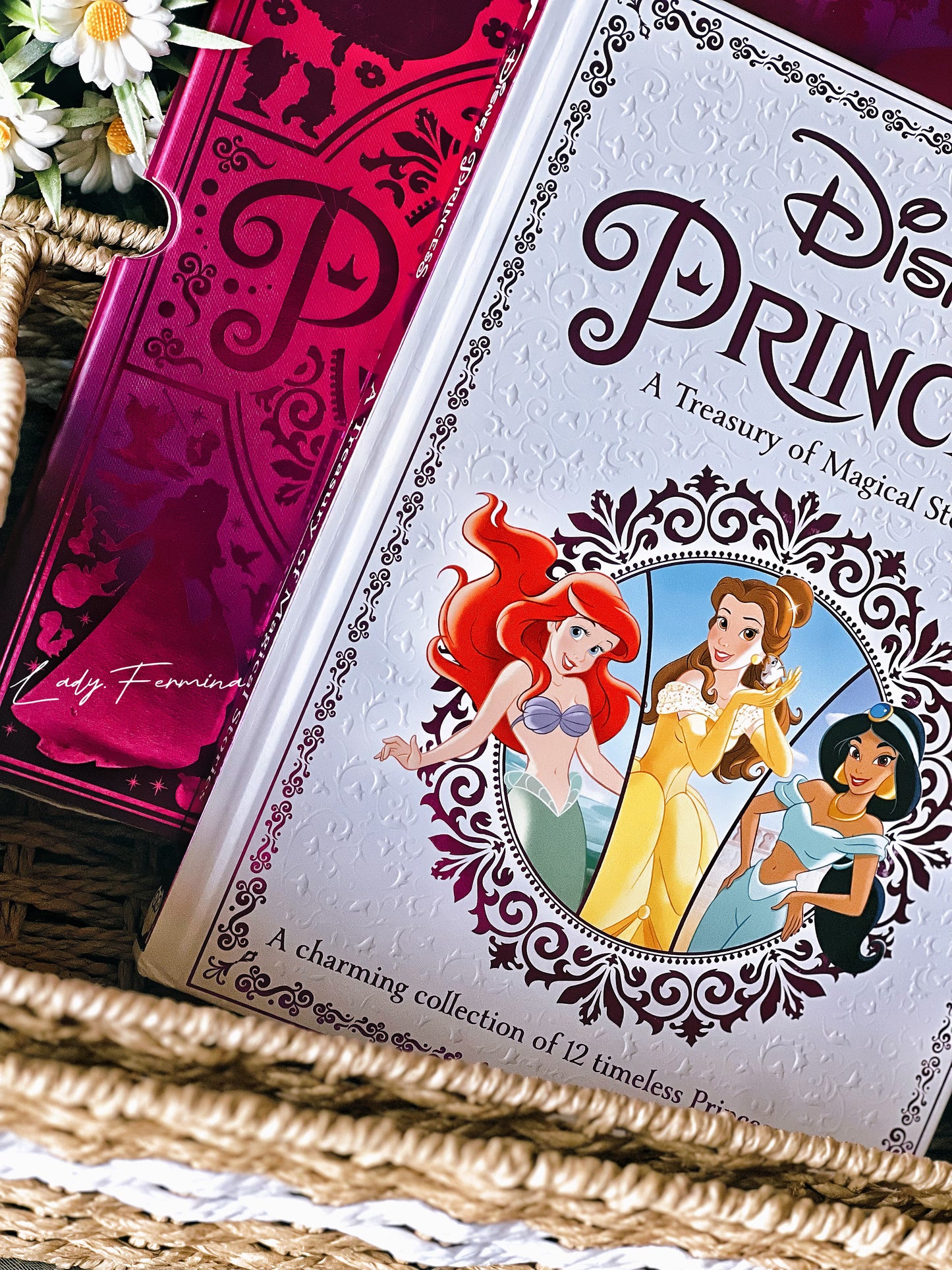 DISNEY PRINCESS (treasury of magical stories) BOOK