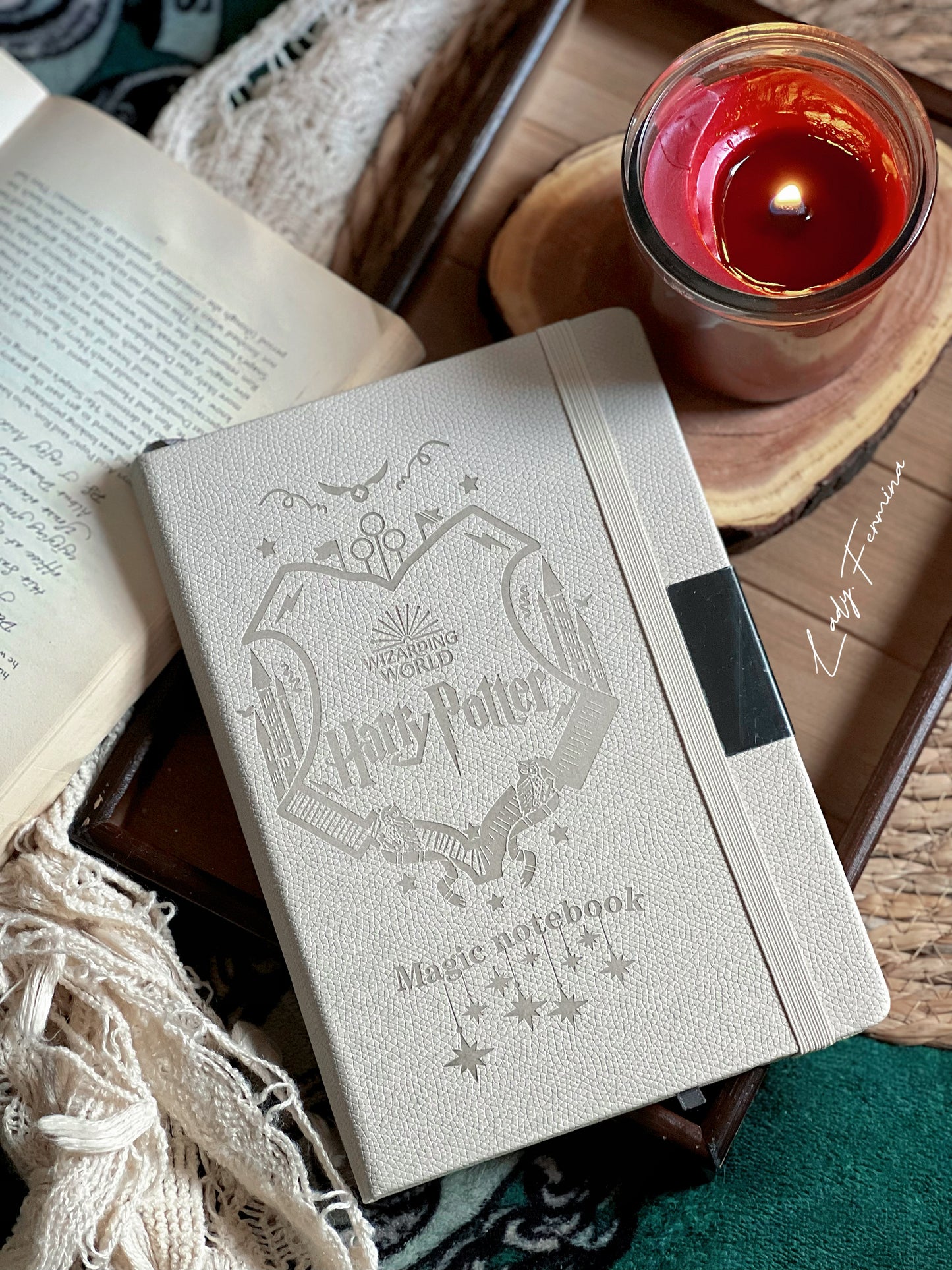 Harry Potter Color Edition Journal