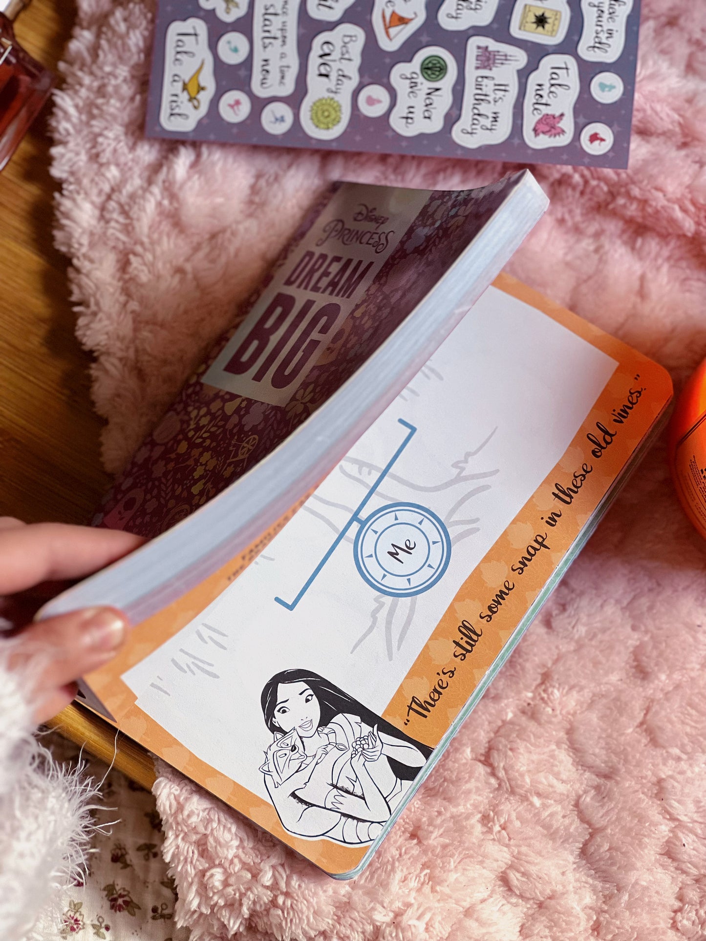 DISNEY PRINCESS PLANNER