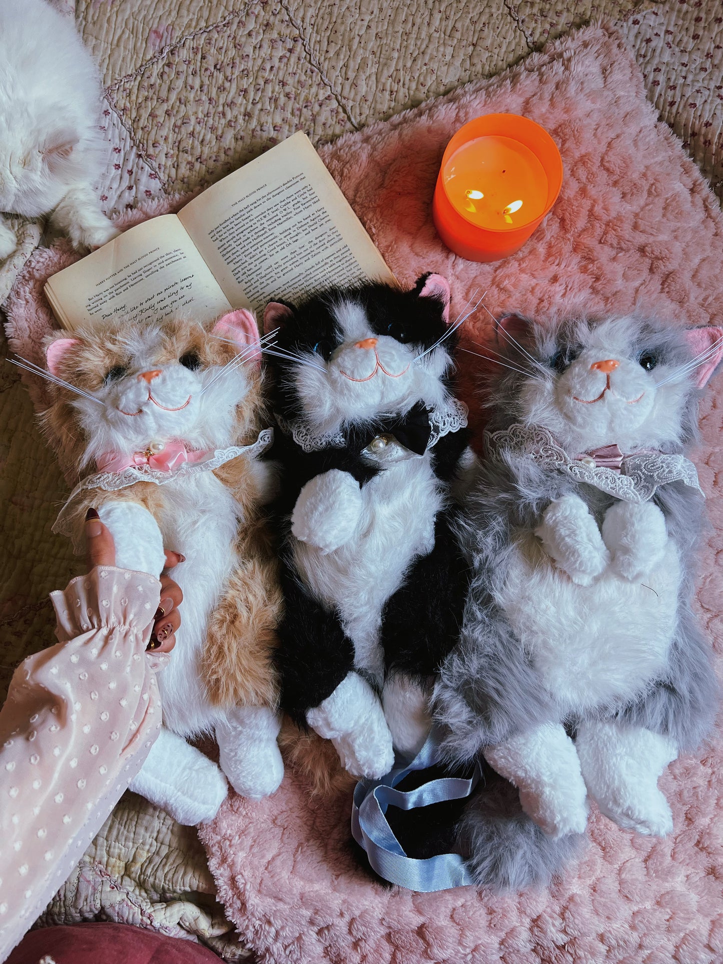 The Meow Backpacks