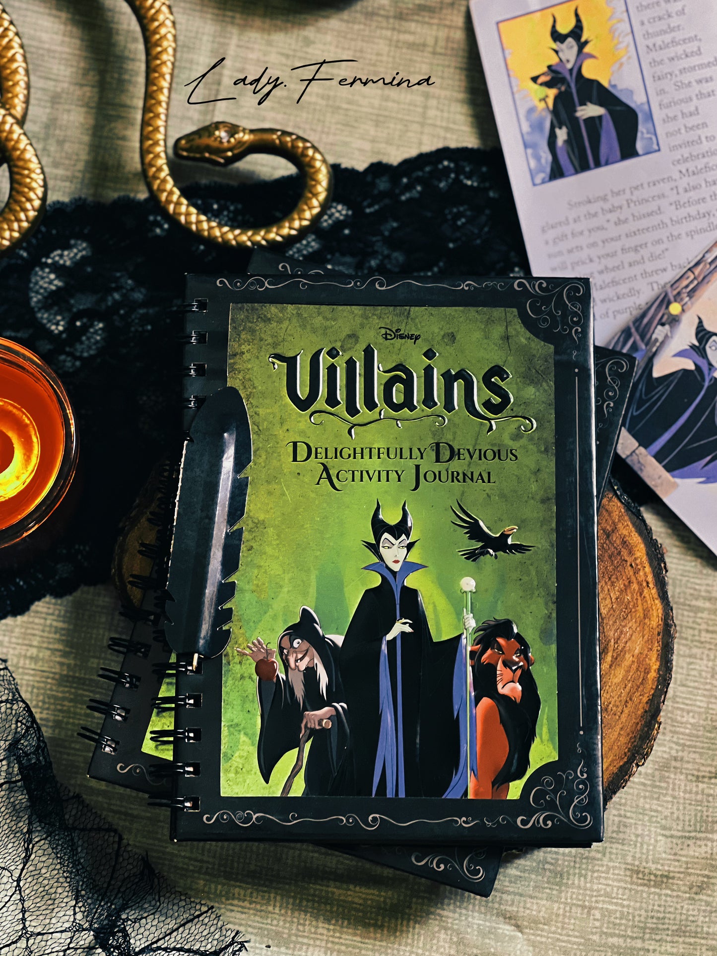 DISNEY VILLAINS ACTIVITY JOURNAL