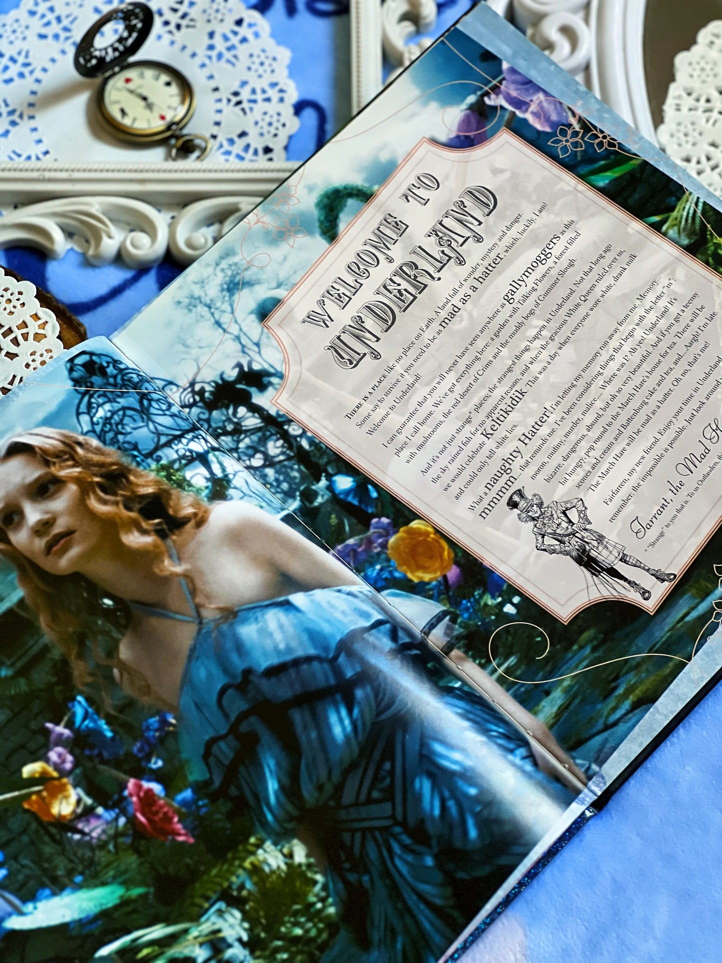 ALICE IN WONDERLAND (the visual guide)(original)