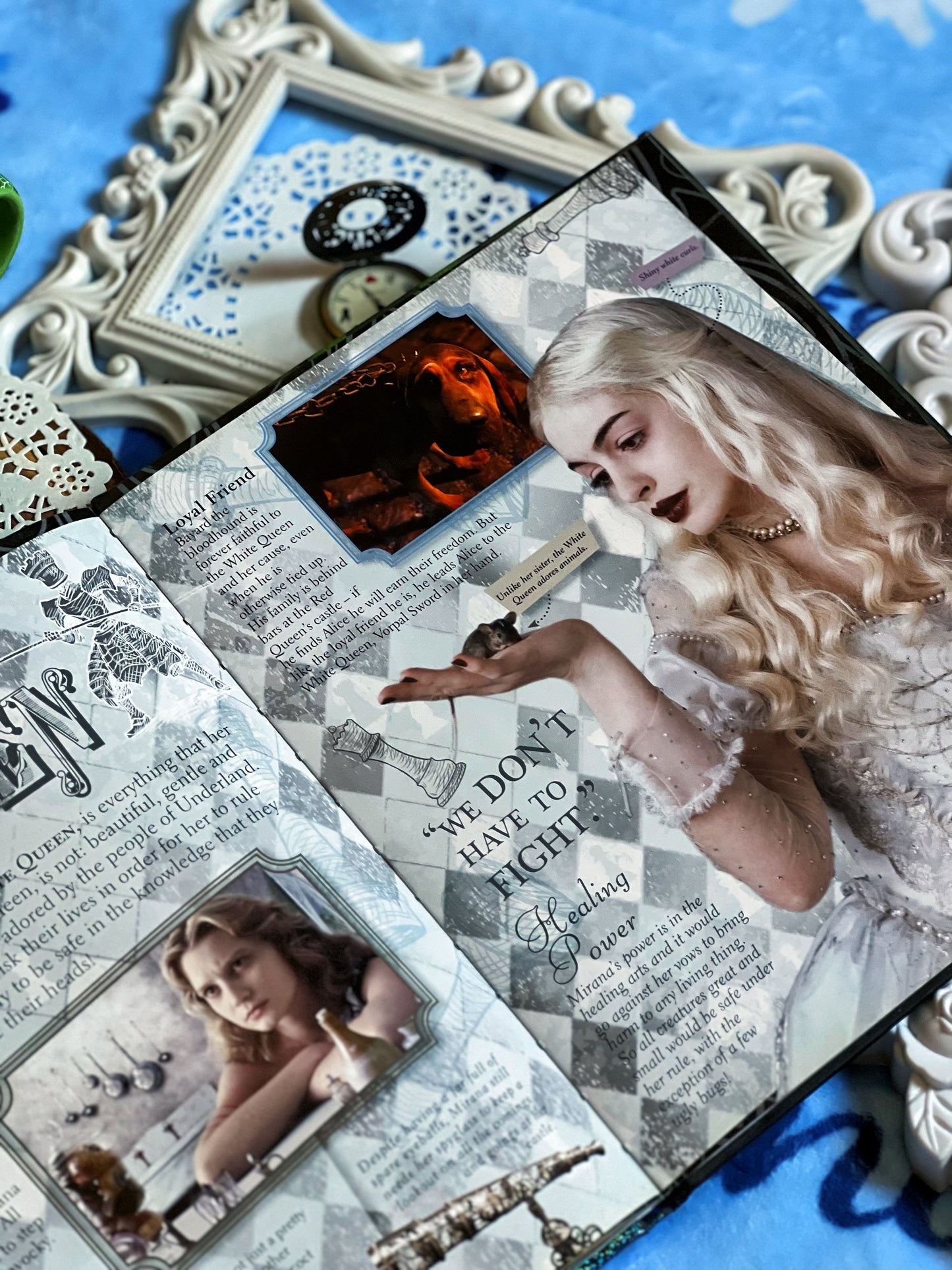 ALICE IN WONDERLAND (the visual guide)(original)