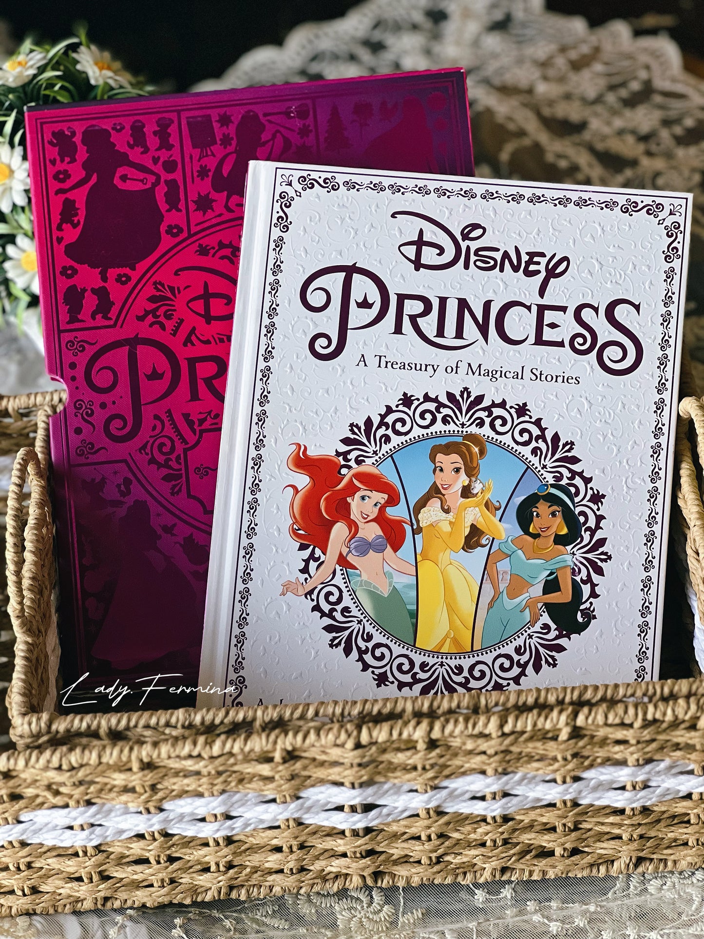 DISNEY PRINCESS (treasury of magical stories) BOOK